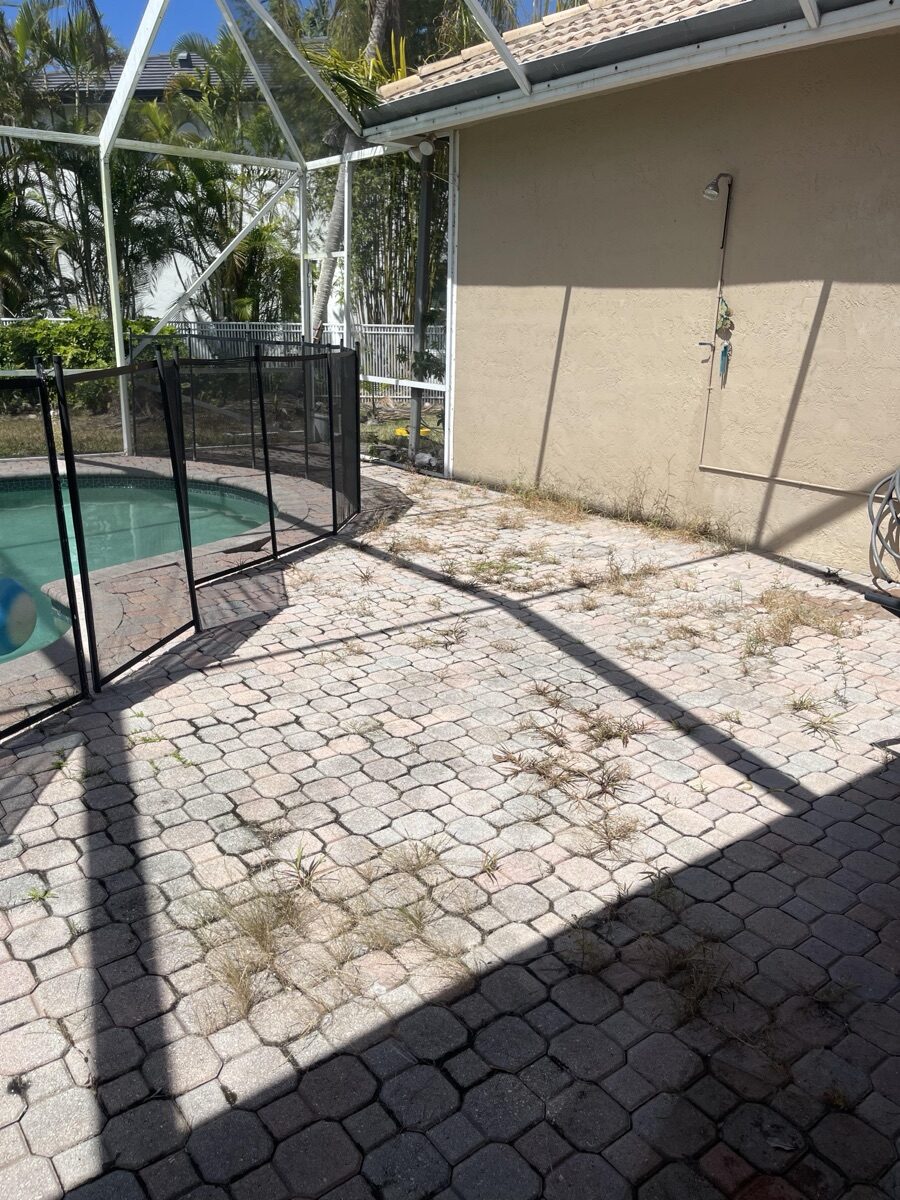After roof and exterior cleaning