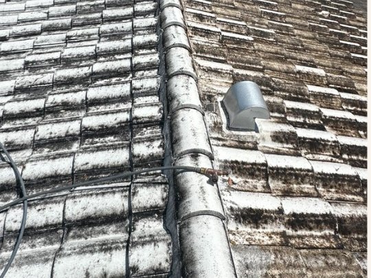 Tile roof before cleaning in South Florida โ heavy black algae and mildew