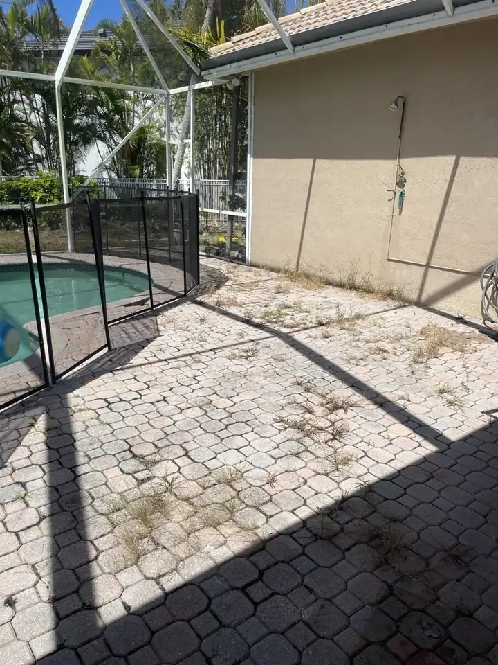 After roof and exterior cleaning