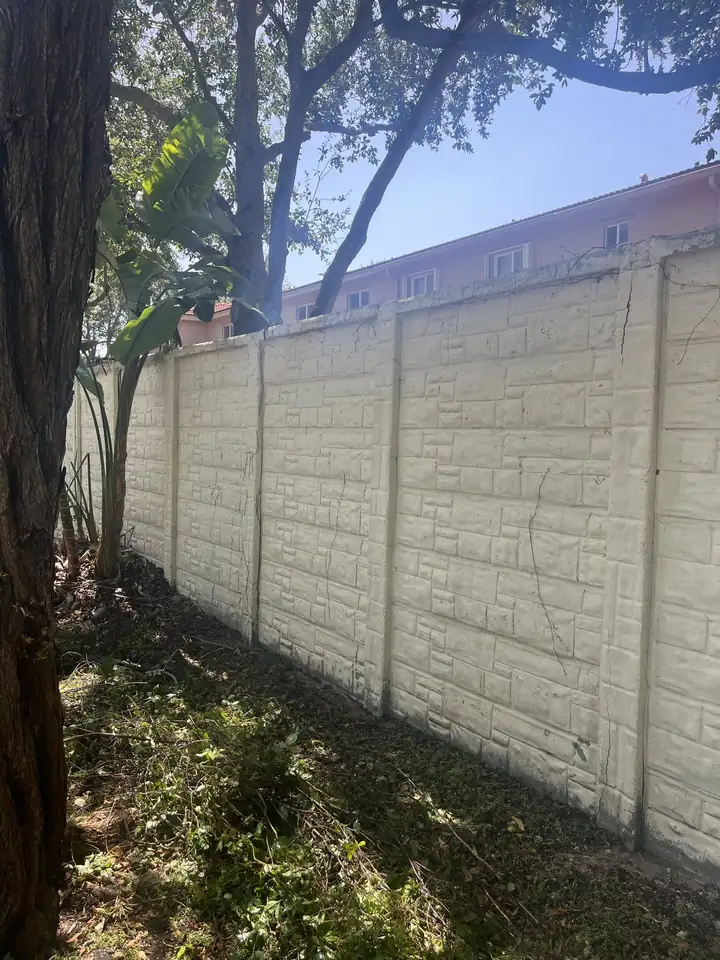 After pressure cleaning the perimeter wall of a shopping center in Davie, FL