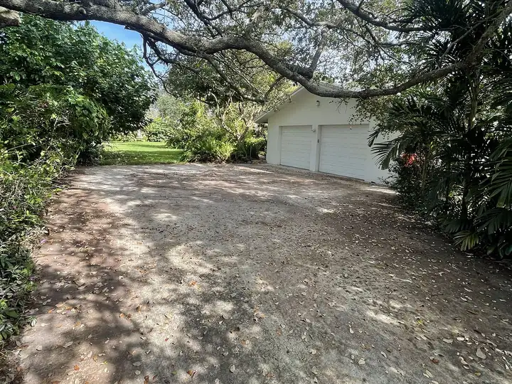 Concrete driveway darkened with mildew under tree cover in South Florida — before